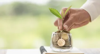 Plant growing in Coins glass jar for money saving