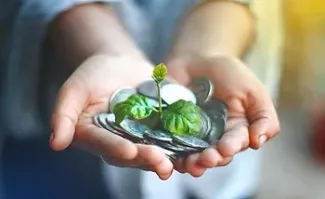 Coins and plant