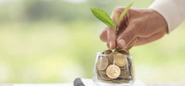 Plant growing in Coins glass jar for money saving