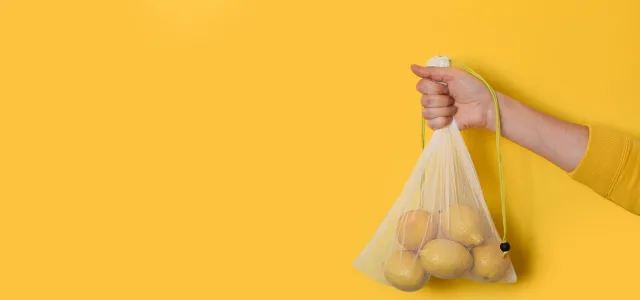 Woman's hand holding a bag of lemons